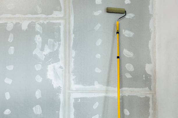 Best Mold Remediation for Healthcare Facilities  in Nags Head, NC