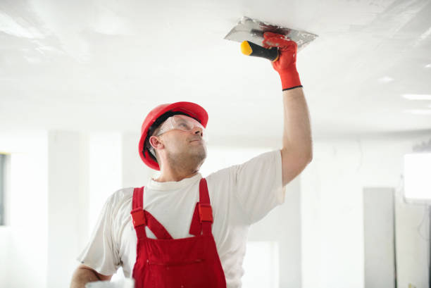  Nags Head, NC Mold Removal Pros