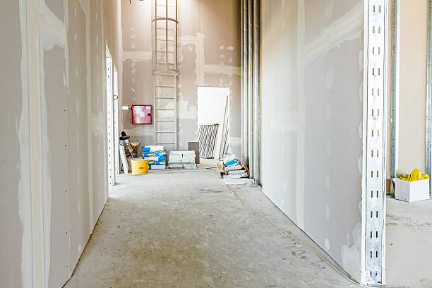 Best Basement Mold Removal  in Nags Head, NC